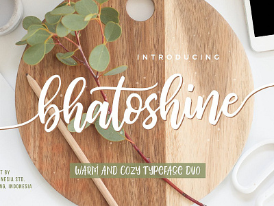 Bhatoshine - Fancy Font Duo duo fancy font font font duo hand lettered handwriting lettering logo signature font trio typography website fonts