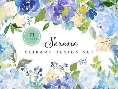 Serene - Flower Clipart Set clipart design set clipart set floral graphics floral wreath flower clip art flower clipart set flower graphics logo clipart vector clipart watercolor wedding clipart wreath