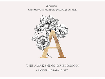 Awakening Floral Graphics & Letters art letters awakening floral graphics floral flowers gold texture golden letters graphics collection letters luxury textures modern graphic set textures watercolor