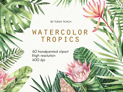 Watercolor Tropics branches elements floral flowers graphics handpainted clipart illustration leaves texture tropic watercolor watercolor tropics