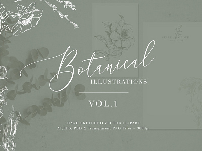 Botanical Illustrations Vol.1 botanical botanical drawings botanical illustrations botanical sketches floral floral drawings hand drawn graphics logo sketched botanical sketched flowers sketched leaves