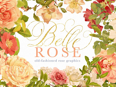 Belle Rose Antique Graphics Bundle antique antique graphics bundle belle rose botanical botanicals elegant feminine floral flowers graphics bundle roses vintage