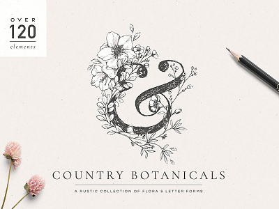 Country Botanicals & Monograms botanical botanical alphabet botanical illustrations botanical monograms country botanical floral flowers letters modern flowers monograms rustic rustic flowers