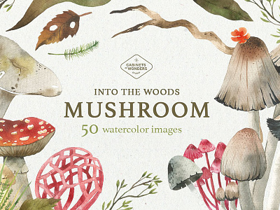 Mushroom Watercolor Clipart Set clipart clipart set forest garden illustration leaf mushroom watercolor watercolor clipart set wedding woods