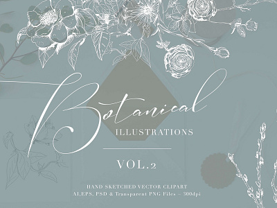 Botanical Illustrations Vol.2 botanical illustrations floral drawings floral illustrations floral vector floral wreath flowers illustration hand drawn graphics sketched botanicals sketched flowers sketched leaves sketched wreath vector clipart