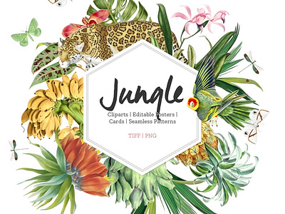 Jungle Clipart designs, themes, templates and downloadable graphic elements  on Dribbble