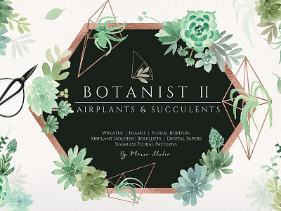 Botanist II - Airplants & Succulents airplant airplants botanical wreath floral floral borders floral clipart flowers frames greenery wedding illustration logos print seamless patterns succulent clipart succulents tempate watercolor wedding clipart wedding invitation wreaths