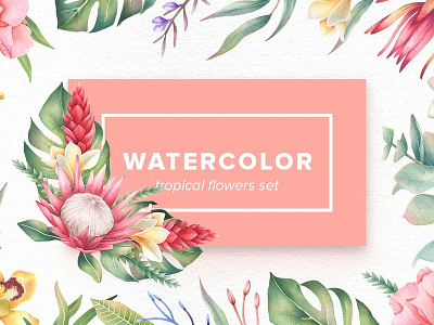 Watercolor Tropical Flowers Set bouquet clipart diy floral floral set flowers flowers set illustration invitation orchid tropical tropical flowers tropical flowers set tropical set vector watercolor watercolor floral watercolor flowers watercolor tropical flowers wedding