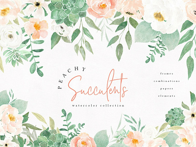 Peachy Succulents Watercolor Florals background design design elements eucalyptus eucalyptus design floral flowers flowers clipart flowers illustration illustration peachy peachy succulents peachy succulents floral peachy succulents flowers pink flowers succulents vector watercolor watercolor collection watercolor peach flowers