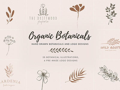 Organic Botanicals and Logo Designs botanical botanical illustration design design elements dreamy floral flowers fresh graphics hand drawn hand drawn floral illustration illustrations logo design organic organic art organic botanical organic floral organic flowers vintage logo