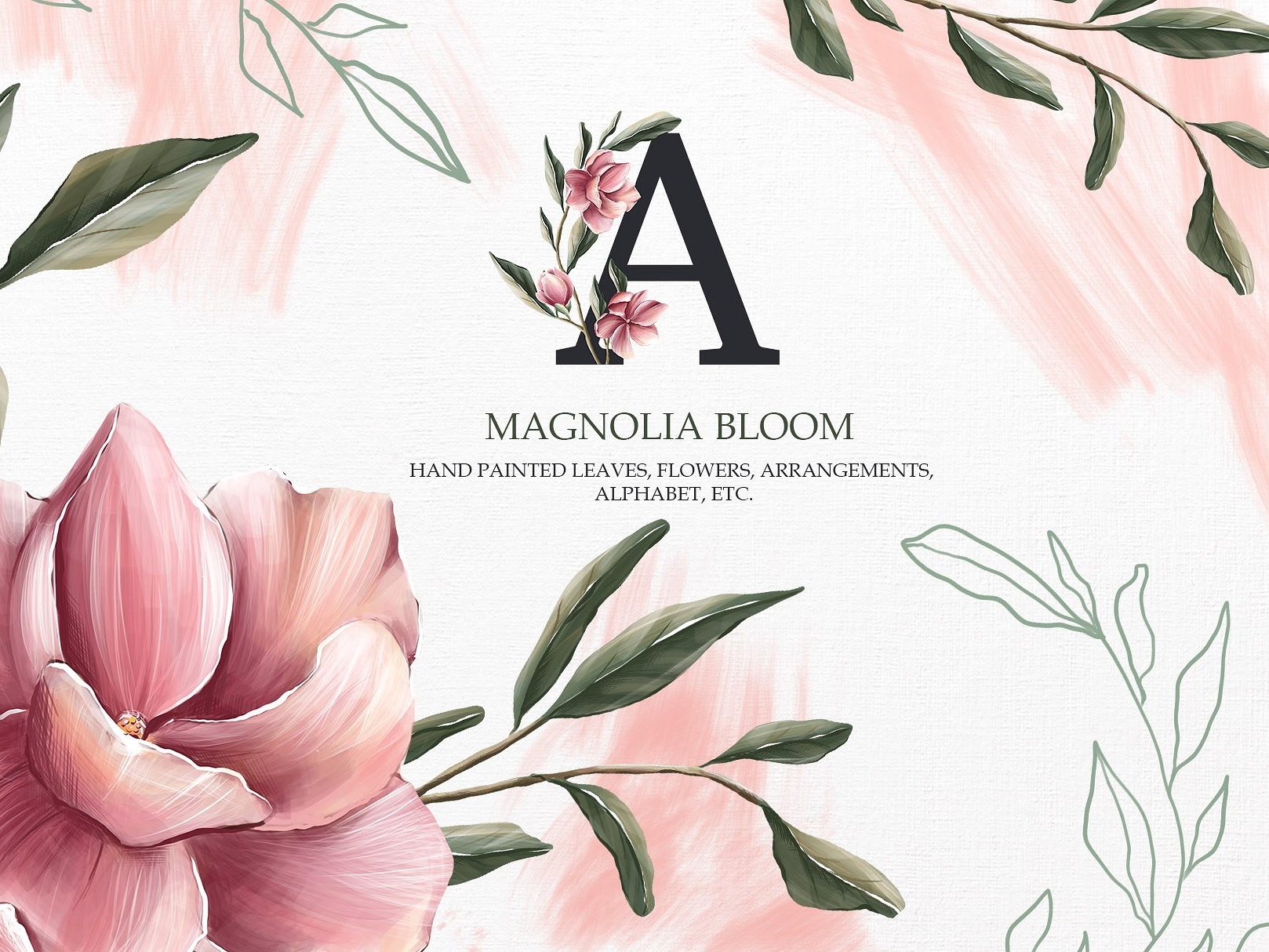 Magnolia Blooms. Магнолия дизайн упаковки. Магнолия Блум схема. Bloom collection
