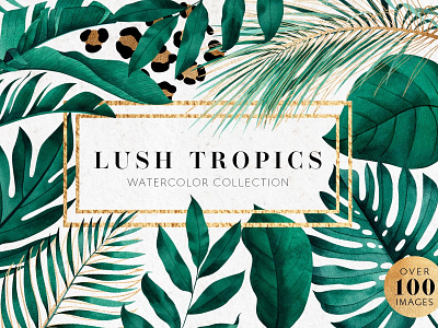 Tropical watercolor collection art background clipart collection concept design design elements floral flowers illustration logo lush lush tropics texture tropical tropical floral tropical watercolor vector watercolor watercolor collection