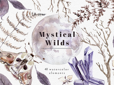 Mystical Wilds. Watercolor set. background design design elements floral flowers graphic assets graphic design graphics graphics collection illustration mystic mystical vector watercolor watercolor collection watercolor elements watercolor floral watercolor set wild wilds