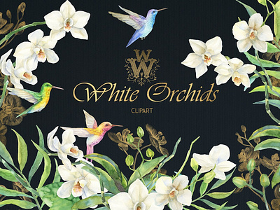 White Orchids Watercolor clip art background clipart concept design design elements floral flowers gold illustration illustrations logo orchids vector watercolor watercolor clip art watercolor clipart wedding white white floral white orchids