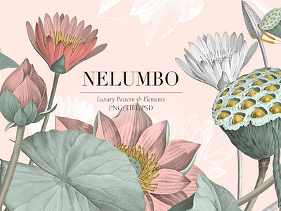 Nelumbo, Luxury Pattern & Motifs background design elegant floral flowers leaves luxury luxury brand luxury pattern motifs nelumbo patter design pattern patterns prints seamless subtle texture textures vintage