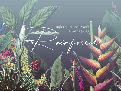 Rainforest Tropical Pattern set! art background clipart design design elements fabric floral forest home decor illustration interiors pattern patterns prints rainforest tropical tropical pattern tropical pattern set vector wallpaper