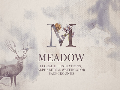 Meadow background clipart design floral floral clipart floral frame floral illustration flowers flowers clipart illustration maedow meadow background vector vintage vintage floral vintage flowers watercolor wild floral wild florals wild flowers