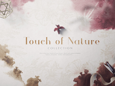 Touch of Nature Collection art background design floral flowers graphic design graphics graphics collection hand drawn hand drawn collection hand drawn elements illustration natural natural elements nature nature illustration pattern patterns plants watercolor