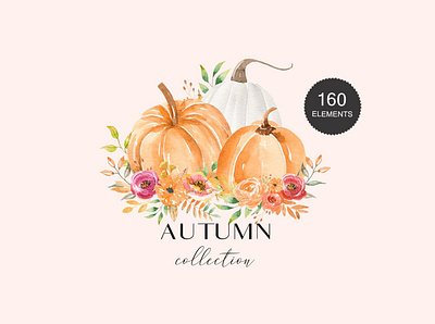 Autumn Watercolor Collection 160+ art autumn autumn clipart autumn flyer autumn leaves autumn watercolor background clipart design design elements floral flowers illustration peach pumpkin pumpkins vector watercolor watercolor clipart watercolor collection