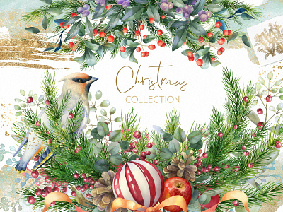 Watercolor floral Christmas collection art background christmas christmas collection clipart design design elements floral florals flower flowers graphic graphic design graphics illustration texture vector watercolor watercolor floral watercolor flowers