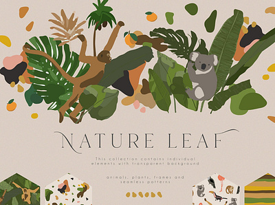 Nature Leaf Collection art background design elements graphic graphic design graphic elements graphics illustration leaf leaf collection modern nature nature clipart nature design nature elements nature illustration nature leaf nature leaf collection vector