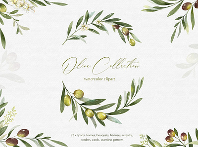 Olive watercolor collection arrangements art design design element design elements floral flowers graphic graphic design graphics illustration leaf natural olive ornament print watercolor watercolor collection wreath wreaths