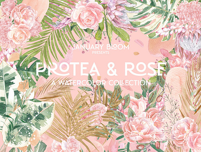 Tropical Protea Rose Greenery Floral abstract shapes art clipart design ficus floral flowers graphic graphic design graphics greenery romantic flowers rose tropical tropical flyer tropical fruit tropical leaves tropical party flyer watercolor watercolor collection