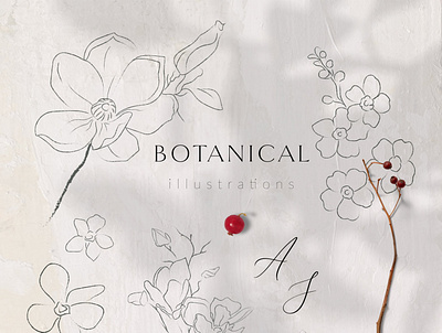 Line Drawing Botanicals, Plants background botanical clipart design drawing floral gold gold textures golden graphic graphic design graphic elements graphics illustration line oil paint plant plants texture textures