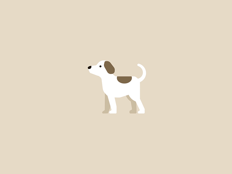 Dog animal animation dog gif illustration minimal motion design motion graphics pets puppy traffic