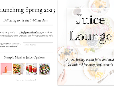 Juice Lounge Business Landing Page