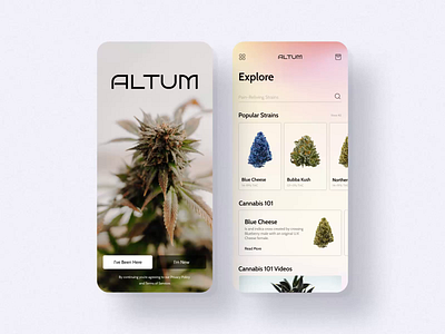 Altum / Shop App app calendar app cannabis concept figma imagery marijuana photos shop track typography ui ux