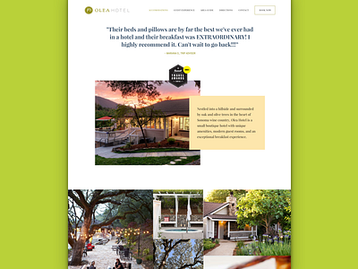 Olea Hotel Website design website