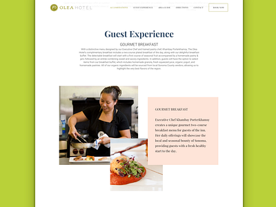 Olea Hotel Website design website