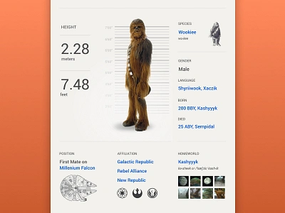 Chewbacca character info graphic design website design