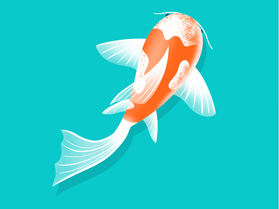 Koi Fish