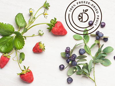 Isofrut — Photography and Stamp brand branding food freeze-dry fresh fruit healthy icon identity seal snack stamp