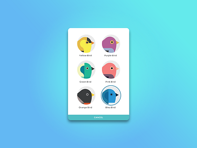 UX - Birds profile app birds illustration product design prototype ux design