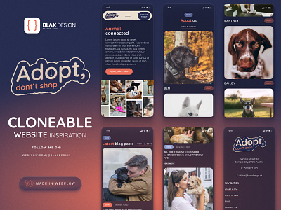 Blax Design Template - Adopt, don't shop (Cloneable Website) animation branding cloneable design figma freelancer graphic design logo logodesign madeinwebflow ui ux webflow websit website