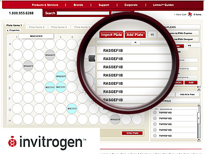 Plate Ordering DNA Application