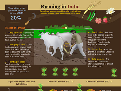 Infographic about Agriculture design graphic design illustration illustrator infographic