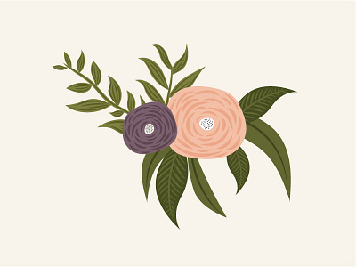 Ranunculus Illustration floral flower illustration ranunculus