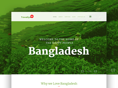 Travaliya BD agency creative design home page landing page tourism travaling ui