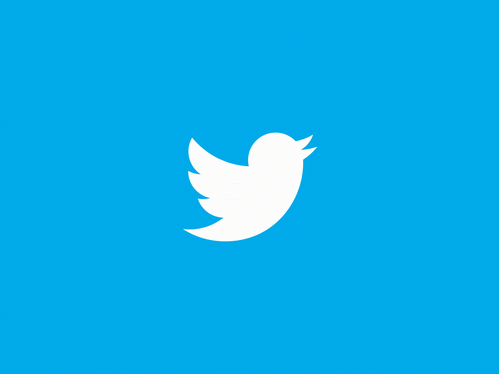 Twitter Logo Simple Animation animation branding button design illustration logo twitter