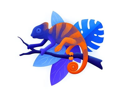 Chameleon Illustration