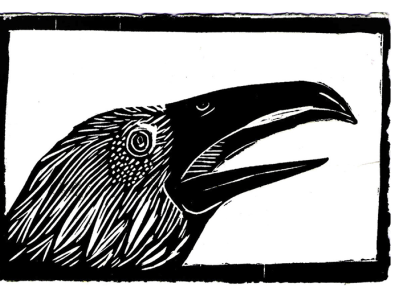 Raven cose illustrate draw engraving illustration print xilography