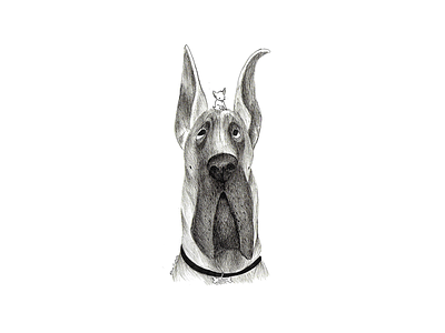 Inktober day10 chiwawa cose illustrate cute dog dogs draw greatdane handmade illustration ink inktober inktober2017