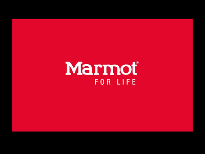 Marmot ecommerce interaction motion ui ux website