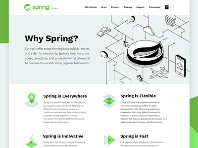 Why Spring Webpage black and white code fast flexible framework icons illustration innovative isometric java leaf overprint page spring website