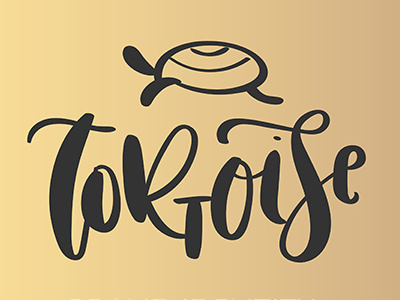 Tortoise - Company Logo