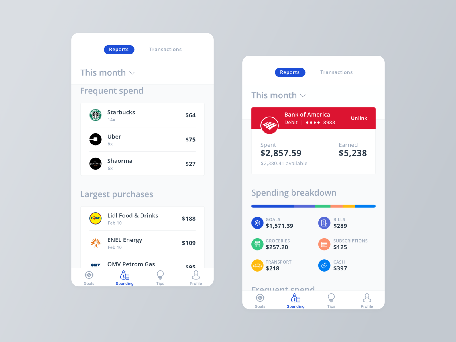 Crush It Mobile App - Spending by George Barbu on Dribbble